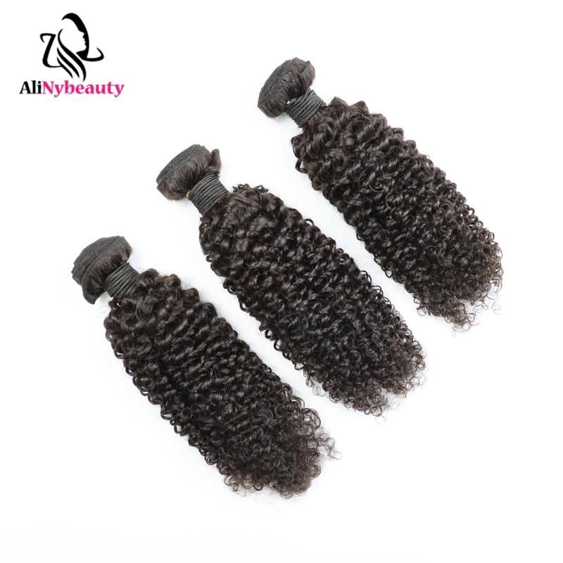 Alinybeauty Wholesale Raw Mink Brazilian Hair Unprocessed Virgin, Cuticle Aligned Indian Hair, Jerry Curly Cuticle Aligned Virgin Human Hair