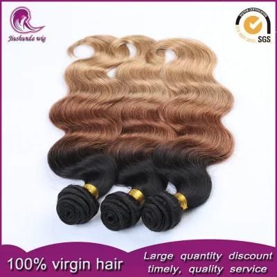 Ombre 2/3t Color Malaysian Remy Human Hair Weave