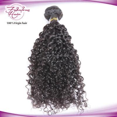 Best Price Virgin Natural Mongolian 100% Human Curly Hair Weave