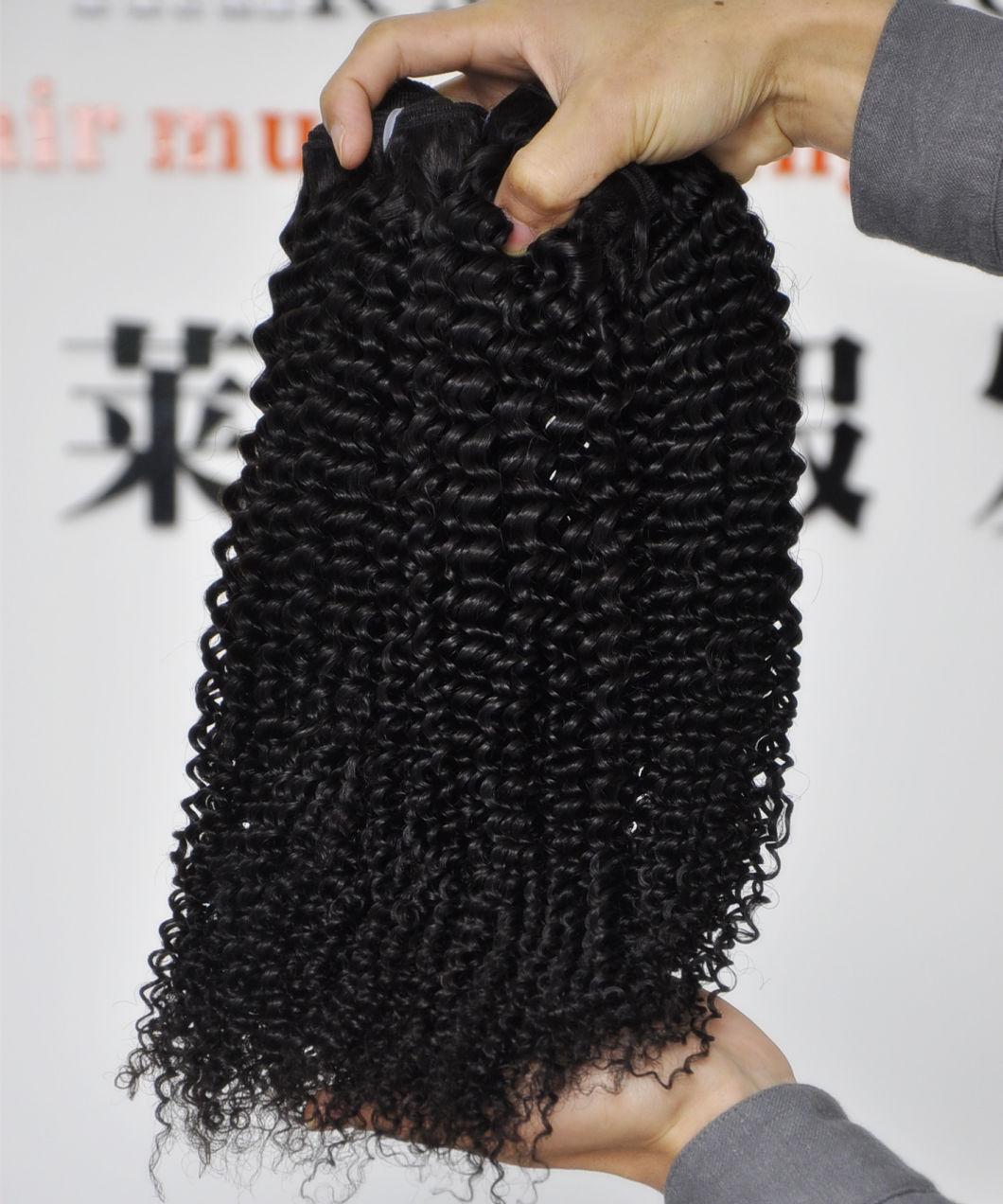 Brazilian Virgin Hair Extensions Kinky Curly Human Hair