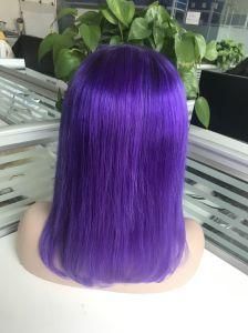 Brazilian 100% Human Remy Hair Lace/Full Lace Wig Purple Color Hair
