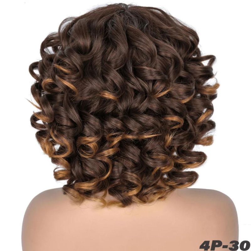 Super Short Hair Brazilian Human Hair Afro Curly Wig with Bangs Loose Fluffy Shoulder Length Natural Lace Front Wigs for Black Women 14 Inches