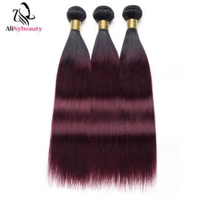 Straight Brazilian Human Hair Ombre Color 1b 99j Wholesale