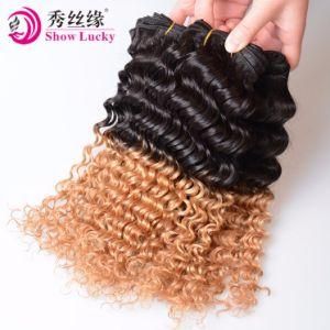 China Human Hair Factory Selling Ombre 1b/27 Deep Curly Wave High Quality Brazilian Hair Pieces