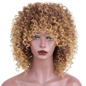 High Quality Hotsale Ombre Kinky Curly Wig Brazilian Lace Front Hair Wig