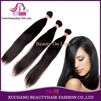 Wholesale 9A Grade 100% Virgin Brazilian Hair Extension Cuticle Aligned Human Hair Bundle