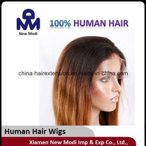 Indian Human Hair Fashion Lace Wig