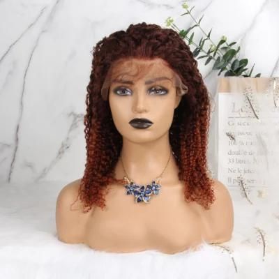 Remy Short Afro Kinky Curly Wave Brazilian Human Hair Wigs off Black Brown Color Wig for Black Women with Bang/Fringe Full Wigs