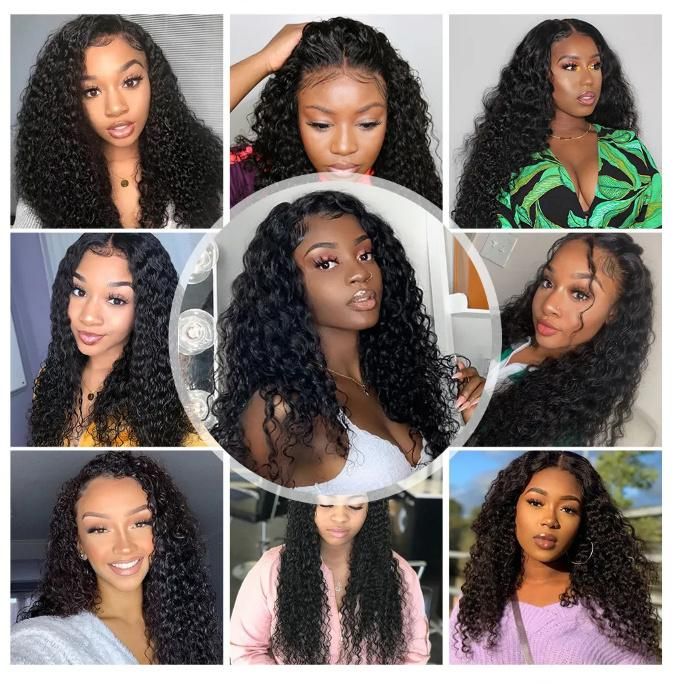 Raw Brazilian Virgin Hair HD Lace Front Wig with Baby Hair