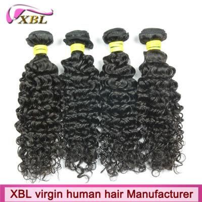 Hot Selling Virgin Remy Brazilian Kinky Curly Hair