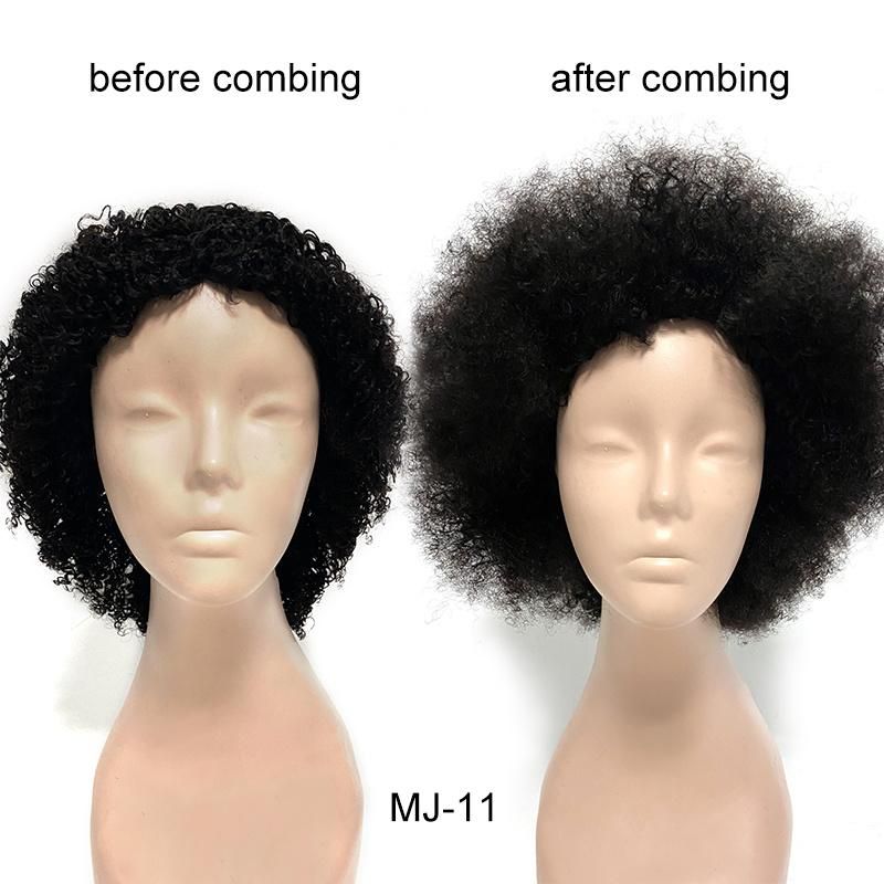 13X4 Lace Front Human Hair Wig for Black Women