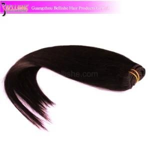 Hot Sale Straight Hair Brazilian Human Hair Extensions