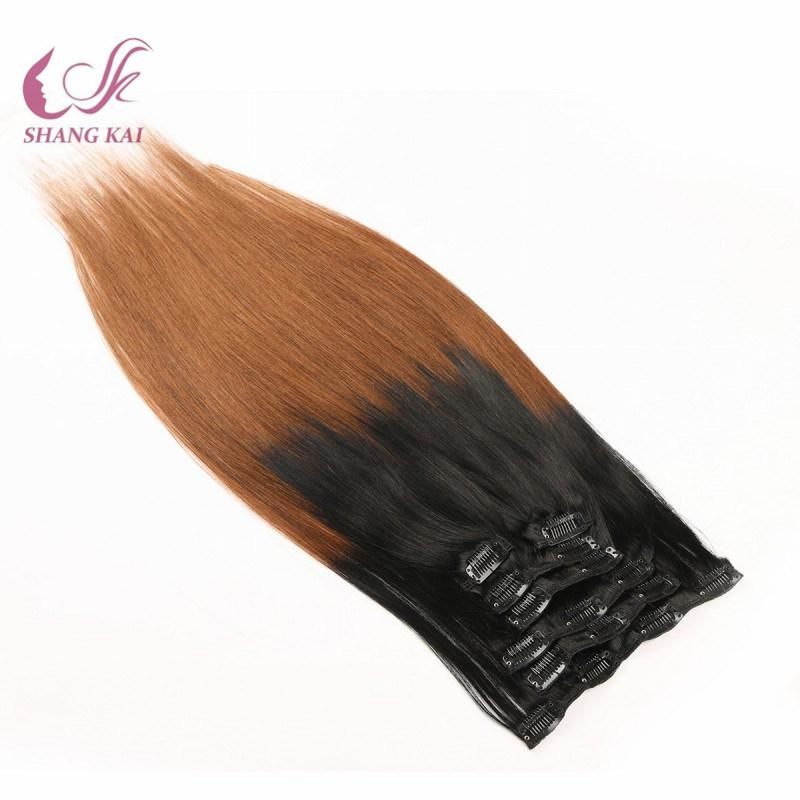 Ombre Color Wholesale Price Clip in Hair Extensions
