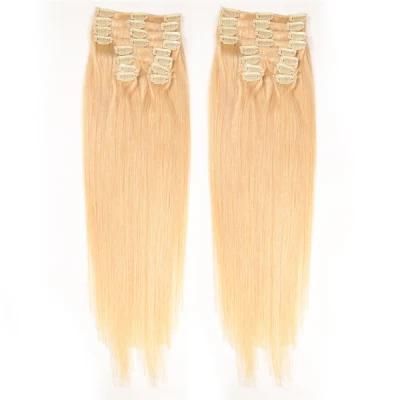 100% Human Remy Virgin India Clip in Hair