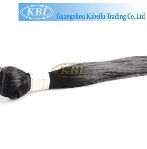 Hot Sale in The Market Malaysian Human Hair
