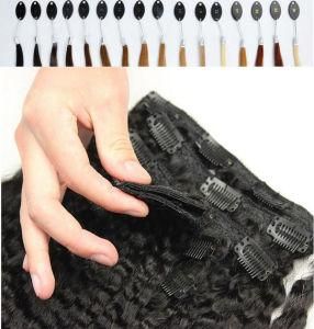 Virgin Hair 100% Human Hair Clip in Hair Extension