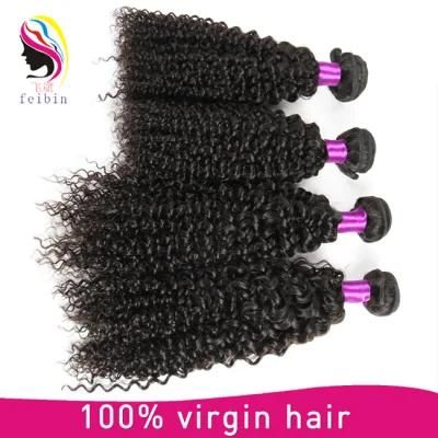 Natural Hair Wholesale Kinky Curl Human Hair Extensions Remy