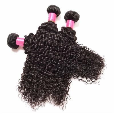 Kinky Curly Human Hair Weft Brazilian Hair Bundles with Closure and Frontal