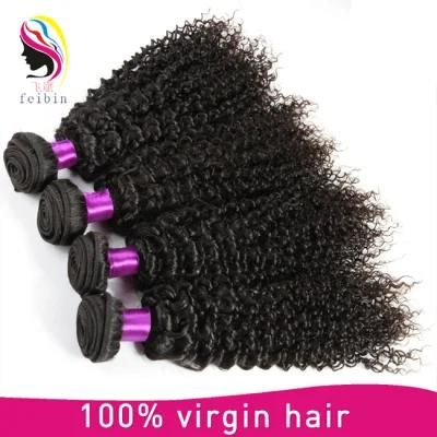 Factory Price Mongolian Human Hair Kinky Curly Extension