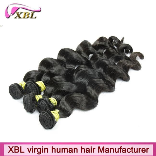 Unprocessed Loose Wave Natural Brazilian Virgin Hair