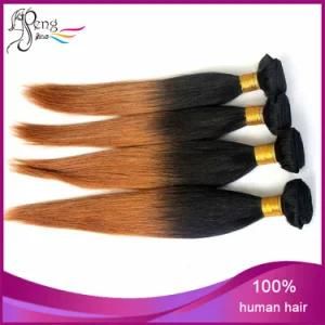 2 Tone 100% Virgin Remy Human Hair Weaves Bundle Stright