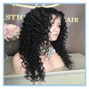 High Quality Natural Color Human Hair Lace Wig with Competitive Price Wig-004