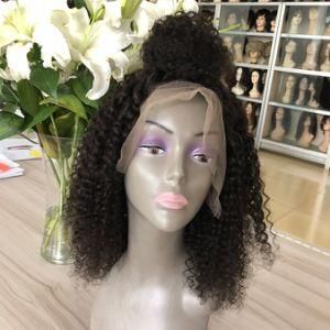 Brazilian Human Hair Lace Wigs Afro Kinky Curly Lace Front Wigs
