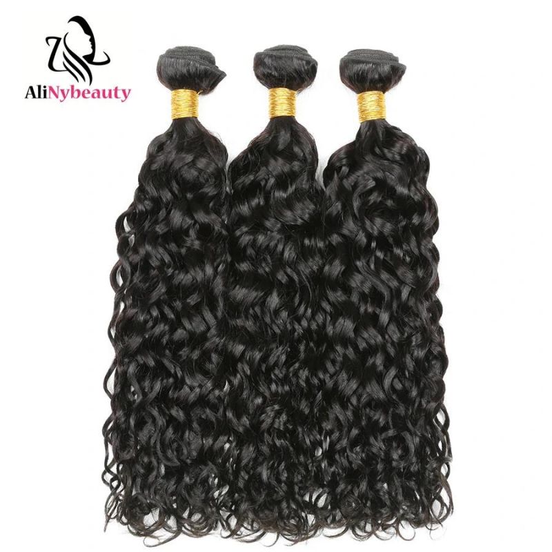 Factory Price Virgin Indian Water Wave Hair Bundle with Lace Closure