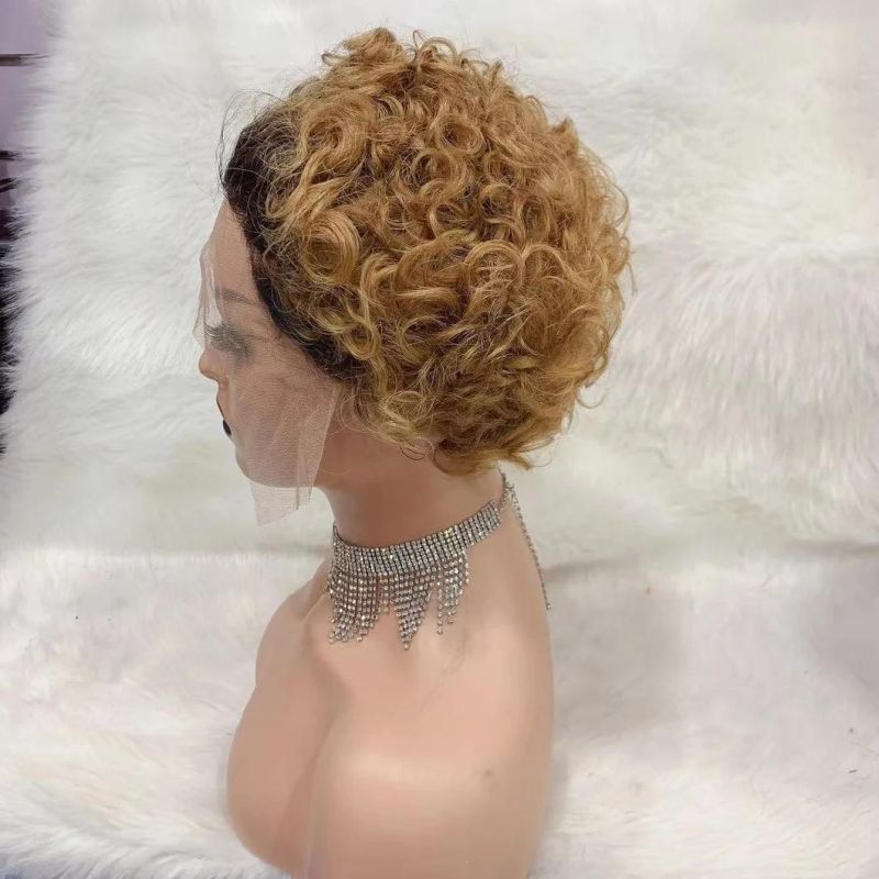 Raw Indian Hair Wigs Ombre Brown Hair Wigs Highlight Lace Front Human Hair Wig