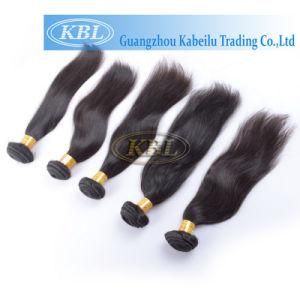 Kbl 100% Beauty Virgin Brazilian Hair Weaving (KBL-pH-ST)