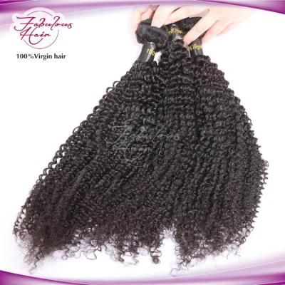 High Quality Women Hair Kinky Curly Hair Bundles Factory Price