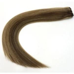 18&quot; Remy Human Hair Extensions Piano-Color #2/10 Straight