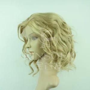 100% Human Hair Front Lace Wigs (153055)