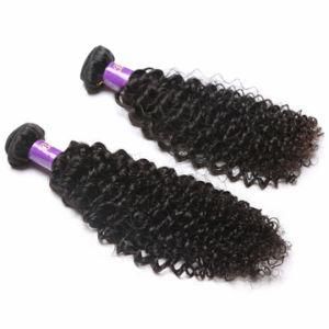 Natural Black Hair Weaves Indian Human Hair Kinky Curly Bundles