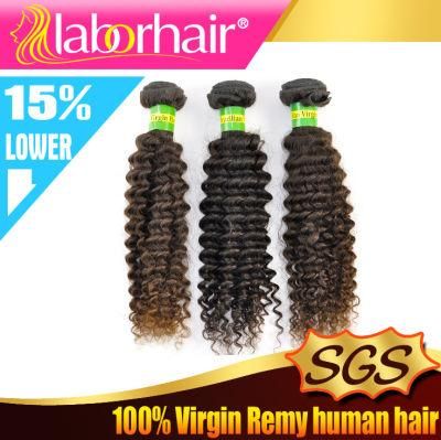 9A Grade 20&prime;&prime; Kinky Curl 100% Brazilian Virgin Remy Human Hair Extensions