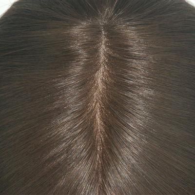 Lw457 Silk Mono Durable Human Hair Wig