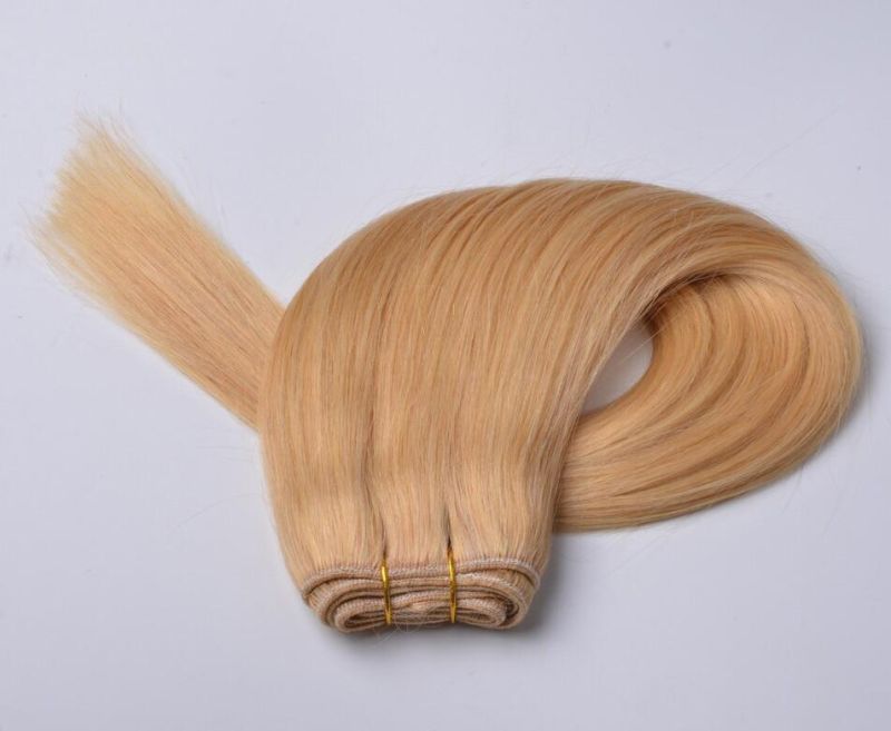 Remy Human Hair Straight Balayage Hair Weft, DIP Dyed Color Brazilian Hair Extensions Highlighted/Honey Blond