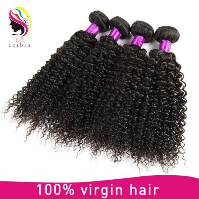 8A High Quality 100% Brazilian Kinky Curl Human Hair Extension