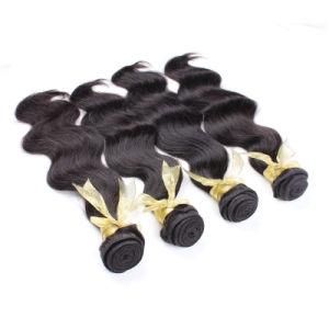 Double Drawn Human 12A Virgin Unprocessed Hair Extensions