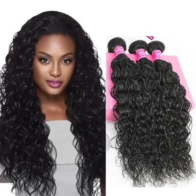 Kbeth Drop Shipping Free Sample Virgin Mink Brazilian Hair Bundles, Luxury Quality Virgin Wet and Wavy Water Wave Human Hair Bundle