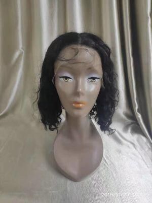 Raw Mink Brazilian Curly Human Hair Lace Wig