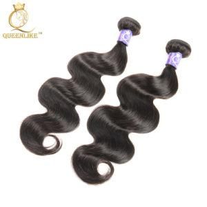 Mink Brazilian Raw Cuticle Aligned Wholesale Virgin Vendors Hair Bundles