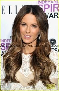 Fashion Brown Human Hair Full Lace Wig