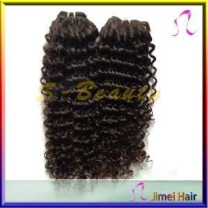 Virgin Human Kinky Curly Cambodian Hair Weft (SB-C-CW)