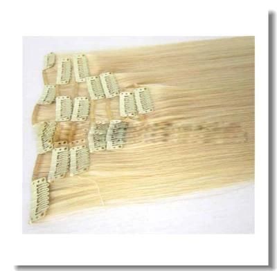 Single Piece Human Hair Clip Hair Extension
