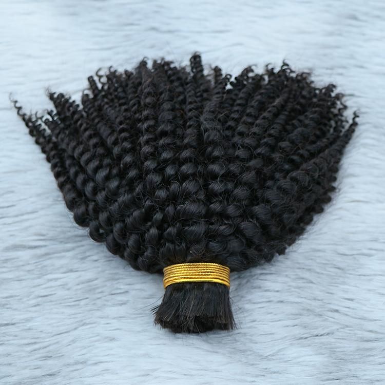 Wholesale Bulk Virgin Hair Raw Indian Human Hair Afro Curly Hair Bulk