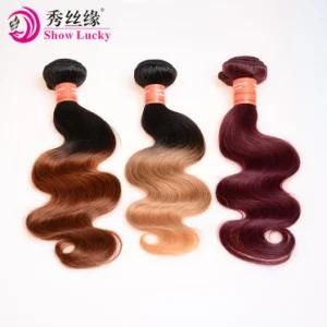 Top Quality 8A Pre-Colored Ombre Hair Body Wavy Unprocessed Virgin Vietnamese Human Hair Bundle