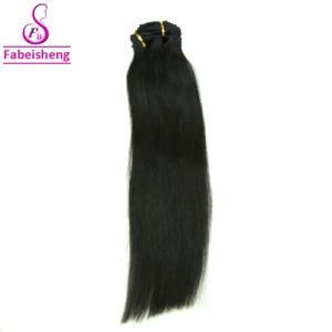 Fbs Hair Hot Sale High Quality Clip in Extensions Human Hair