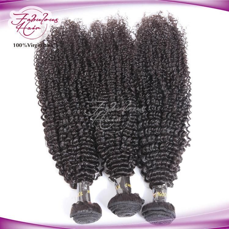 Christmas Promoting Wholesale Human Virgin Brazilian Afro Kinky Curly Hair
