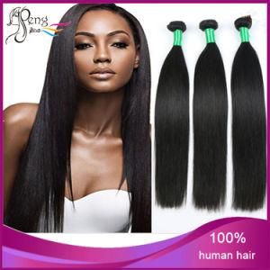 Best Quality Virgin Human Hair Extension